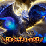 Bird Of Thunder
