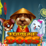Fortune Dogs
