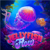 Jellyfish Flow
