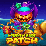 Pumpkin Patch
